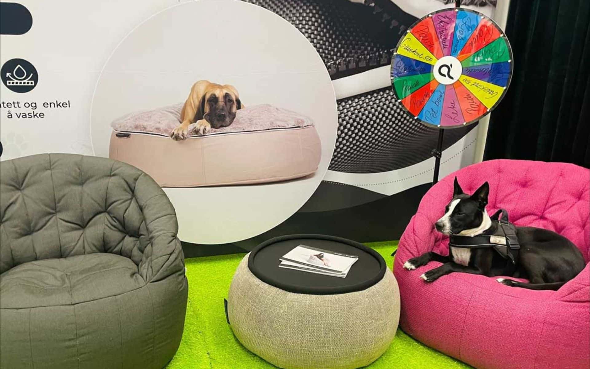 Oslo Dog Show 2023: hundeseng-favoritter og takk