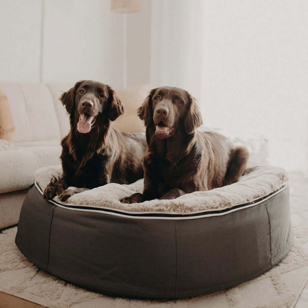 Hundarúm Supernova Cappuccino L Hundarúm L