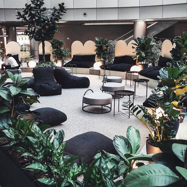 Evolution Sófi Black Sapphire Innisessupúði