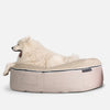 Hundarúm Sandstorm Thermo Quilt Beige L Hundarúm L