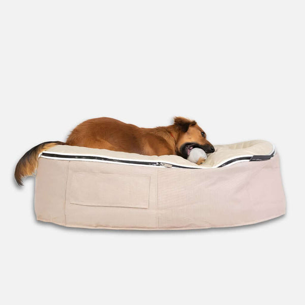 Brúnn hundur liggur á Ambient Lounge hundeseng, tyggur hvítt leikfang, á hvítum bakgrunni.