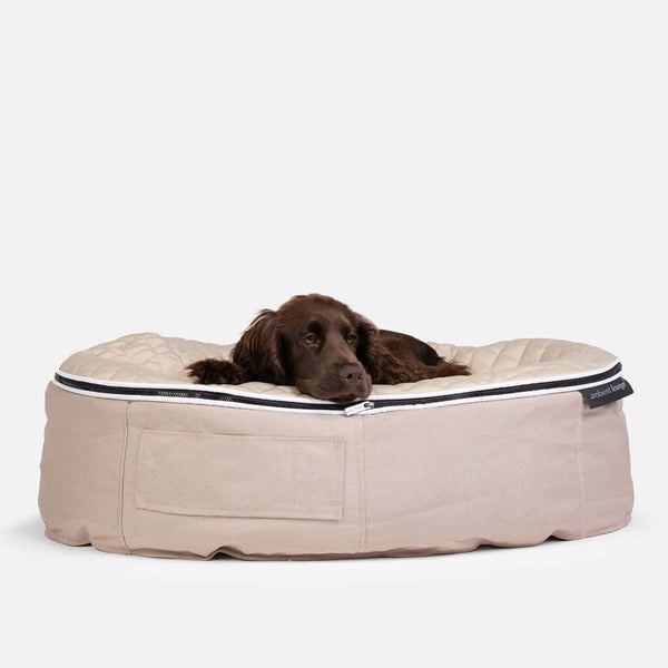 Brúnn hundur liggur í Ambient Lounge hundabekk með rennilás og ThermoQuilt vatteraðri yfirbyggingu. Hundurinn hvílir höfuðið á brúninni og lítur afslappaður og þægilega út. Bakgrunnurinn er hvítur.