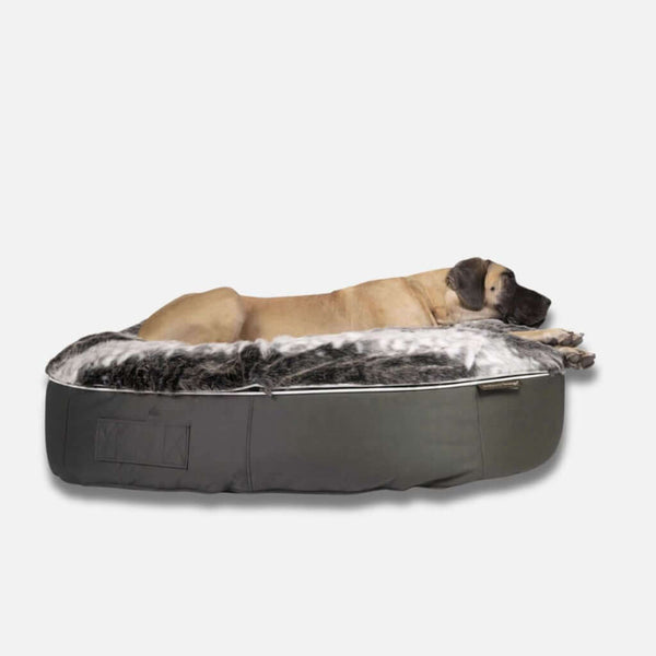 Stór brúnn hundur liggur á hliðinni á mjúkum, gráum, sporöskjulaga Ambient Lounge hundeseng XL á hvítum bakgrunni.
